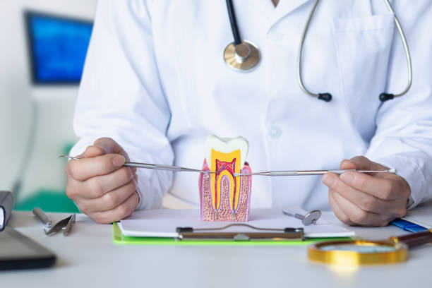 Best Emergency Treatment for Oral Infections in Ponderay, ID